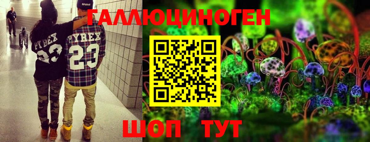 наркотики  Галлюциногенные грибы Psilocybe  Вход с VPN  Лабинск 